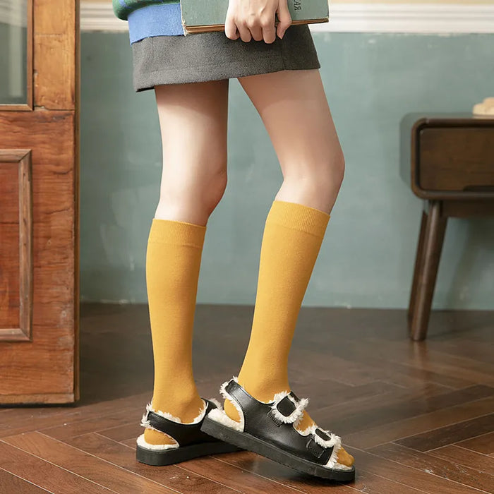 Long Socks Women Stockings