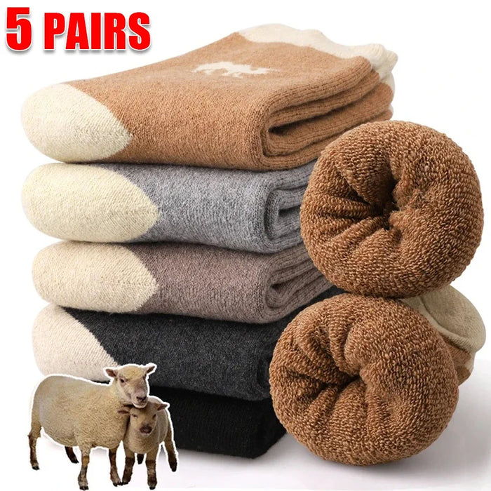 5 Pairs Wool Thickened Winter Sock
