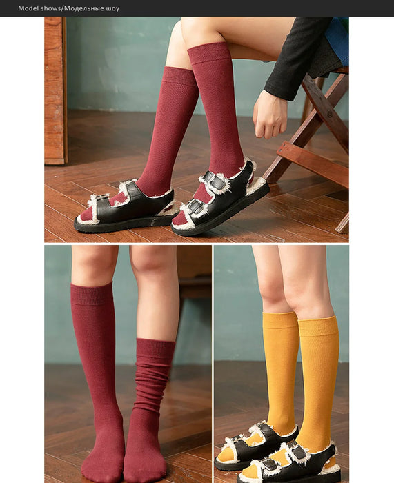 Long Socks Women Stockings