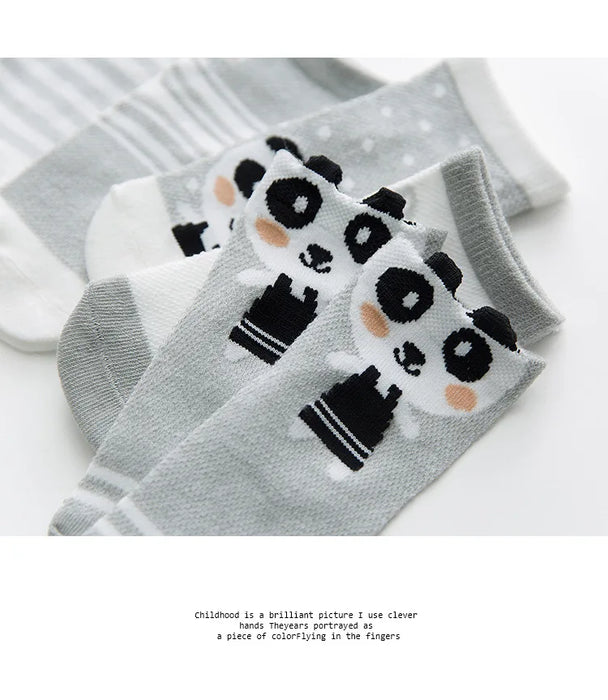 Baby Socks for Girls