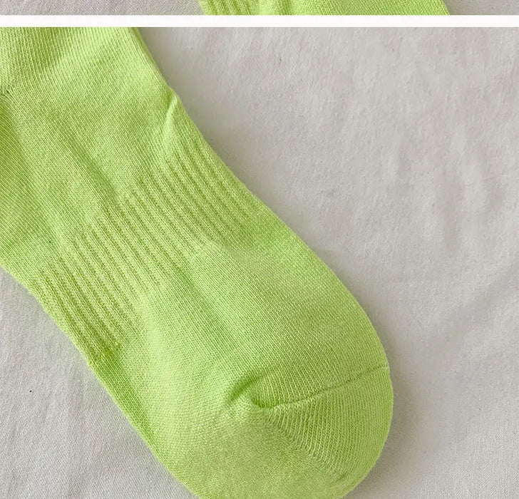 Blue Bear Socks Fun Sock