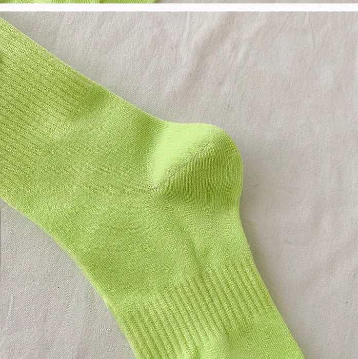 Blue Bear Socks Fun Sock