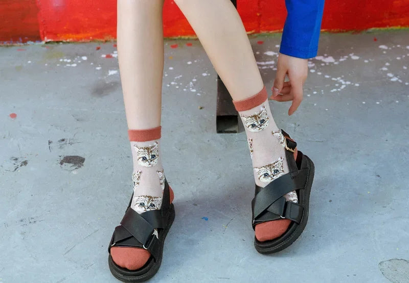 Women Transparent Cute Cat Socks